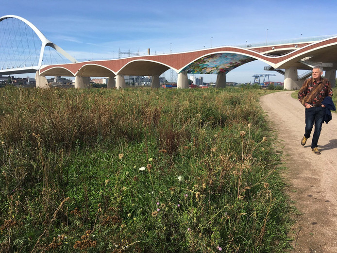 Stadsbrug De Oversteek met een artists impression van een bloemengewelf die kunstenaar Margriet Smulders er graag zou realiseren. © Margriet Smulders