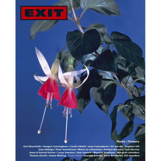 exit-28-flowers.jpg