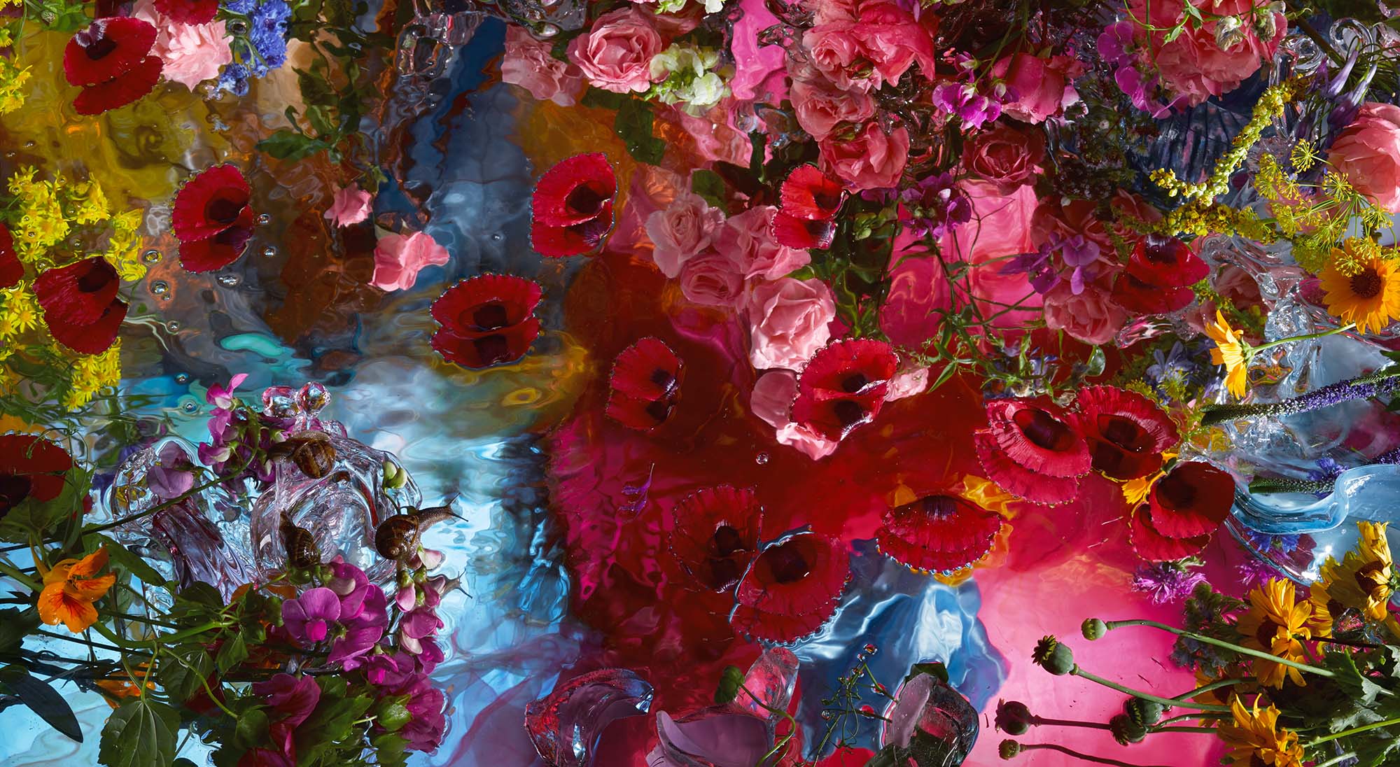 Who loves Red, Yellow and Blue? .jpeg