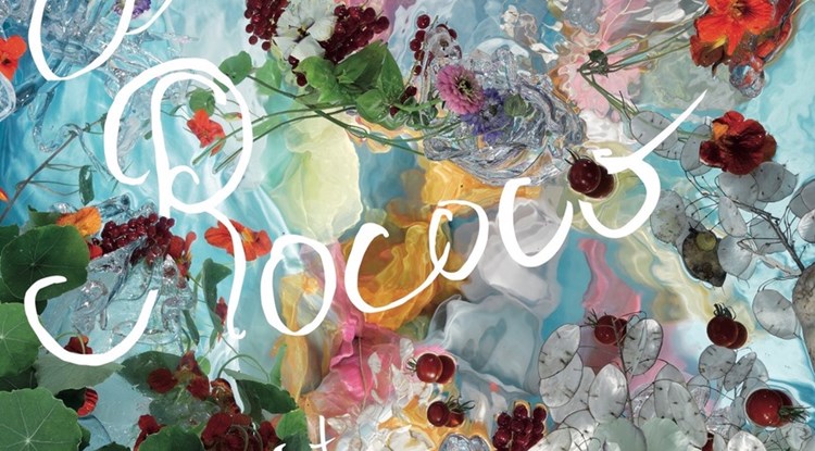 Affiche Fruit de rococo 2200pixbreed.jpeg Affiche Fruit de rococo 2200pixbreed.jpeg